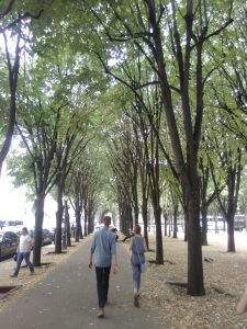 Two children walking down a tree-lined alley in a Paris park.