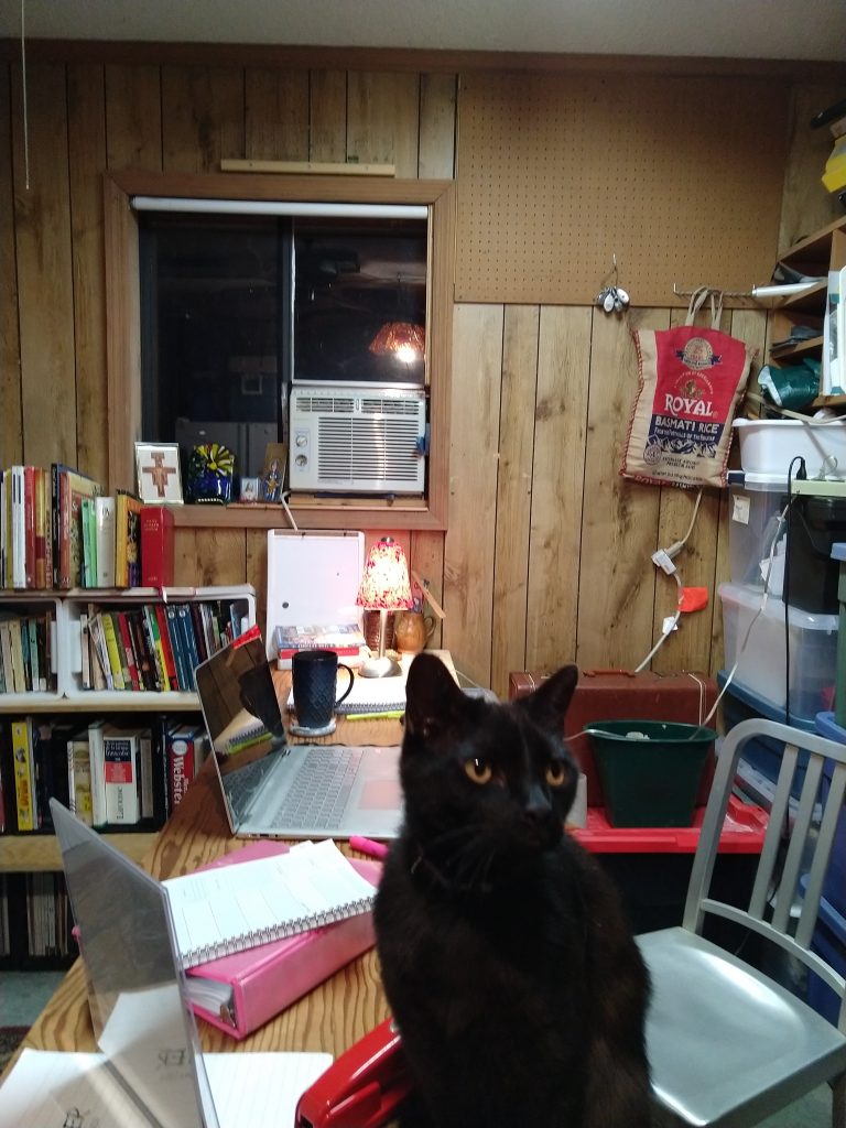 Improvised desk and bookshelves made out of crates and boards, cat in foreground. Occupies old garage space.