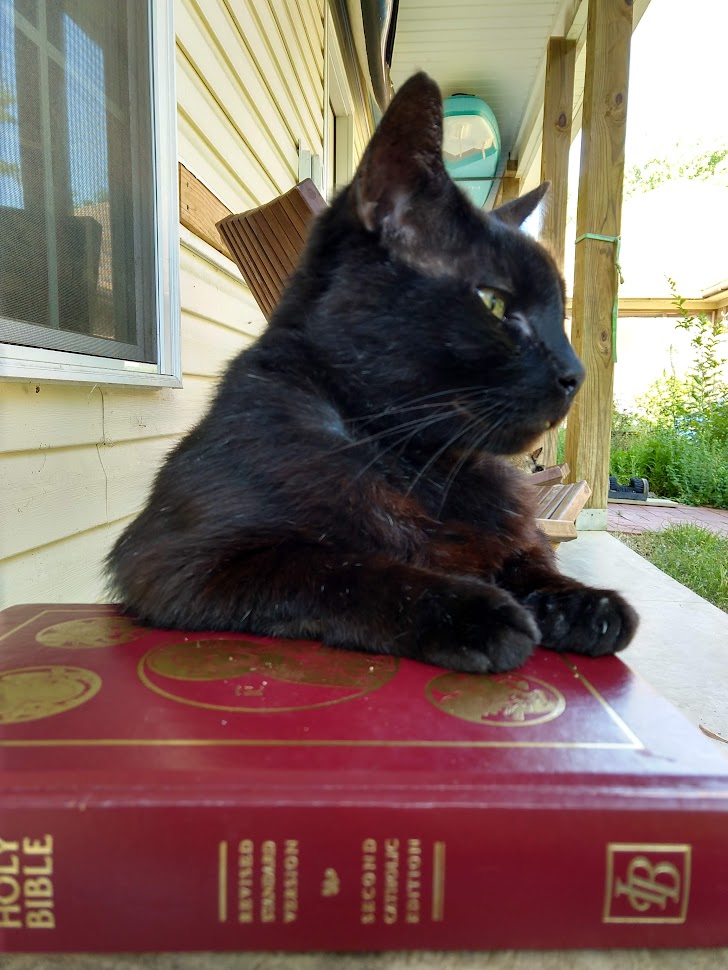 Mr. P, a black cat, is sitting on my Bible. In the background is the back porch; you can see a paddleboard and a sliver of my flower garden.